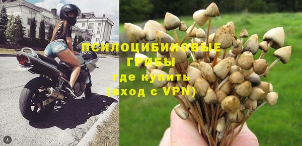 сатива Покровск
