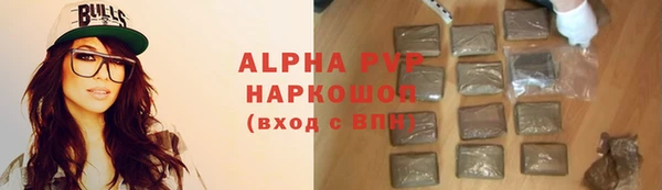 прущие грибы Покачи