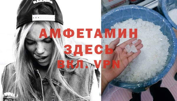 прущие грибы Покачи