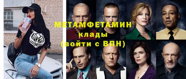 прущие грибы Покачи