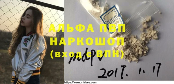 прущие грибы Покачи