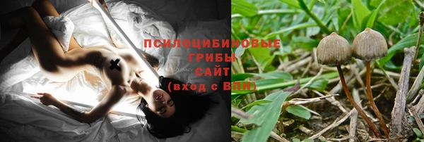 прущие грибы Покачи