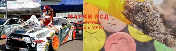 прущие грибы Покачи