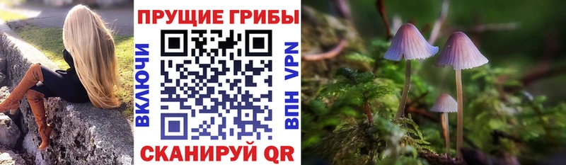 Галлюциногенные грибы мухоморы  MEGA как войти  Городище 